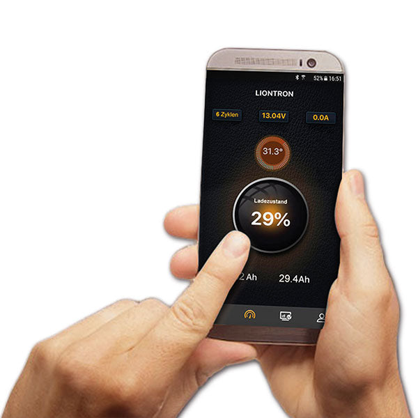 Batteria Liontron con BMS • 12,8 V / 40 A