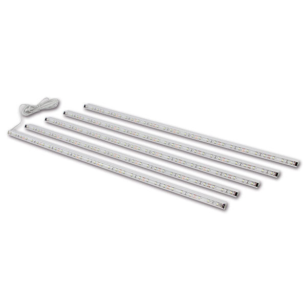 Kit 5 LED esterni Awning Case