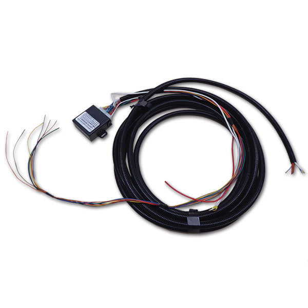 Centralina portamoto Ducato X250 • Serie 8