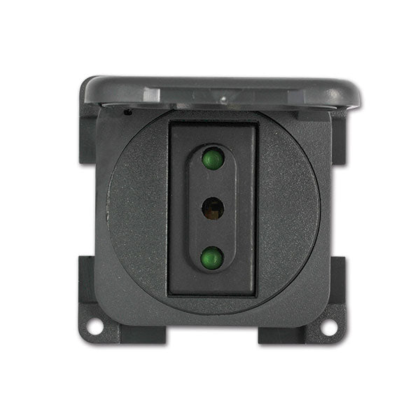 Presa con coperchio • 230 V / 10 A • grigio