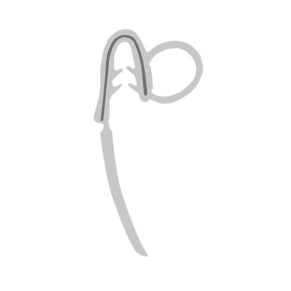 Guarnizione armata bianca