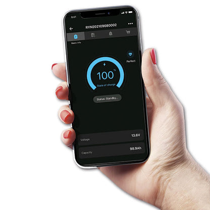 Batteria Li-Ion Exide • 200 A