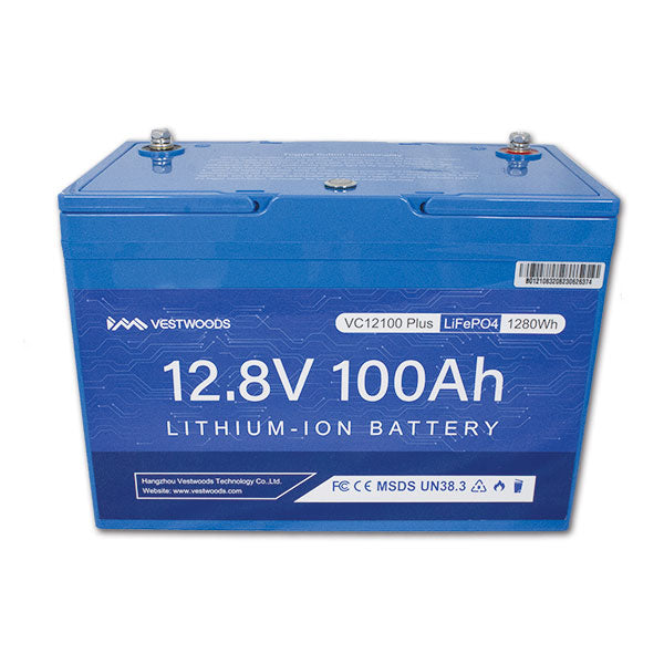 Batteria al litio • 100 A