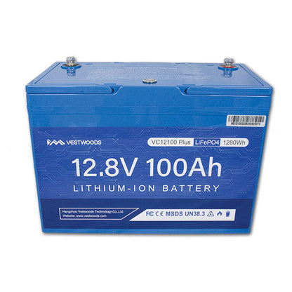 Batteria al litio • 100 A