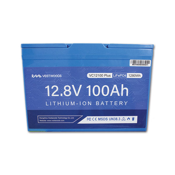 Batteria al litio • 100 Ah