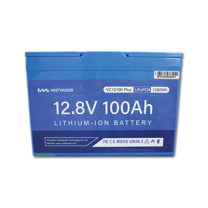Batteria al litio • 100 Ah