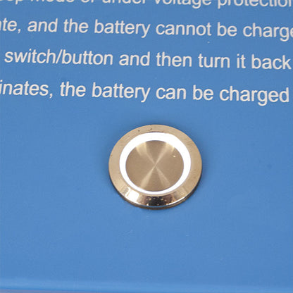 Batteria al litio • 100 A