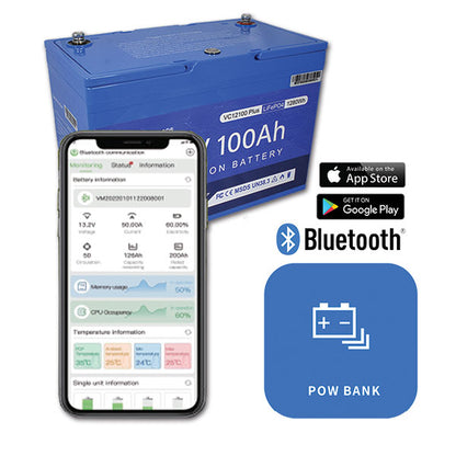 Batteria al litio • 100 A