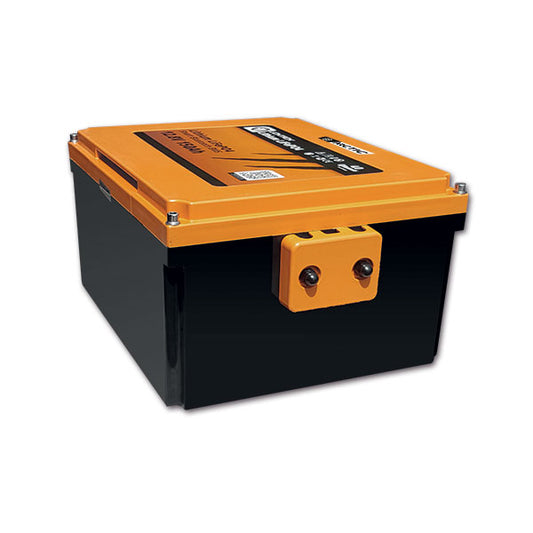Batteria Liontron Artic Ducato • 200 A