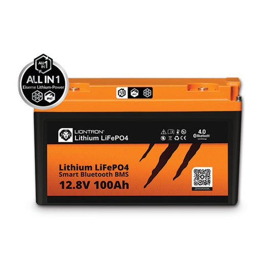 Batteria All In One Liontron • 100 A