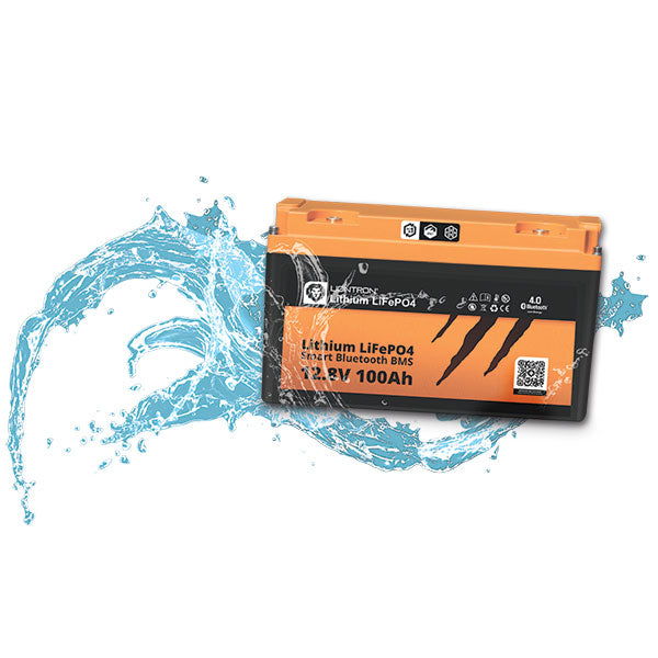 Batteria All In One Liontron • 100 A
