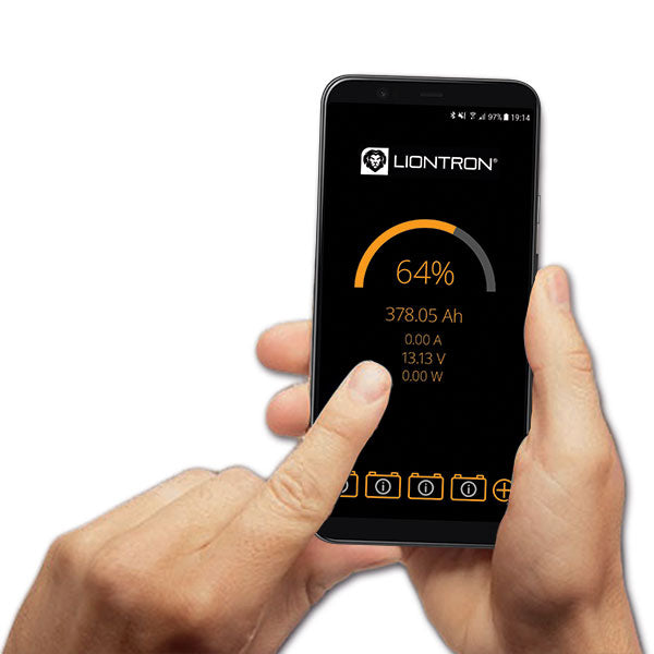 Batteria All In One Liontron • 100 A