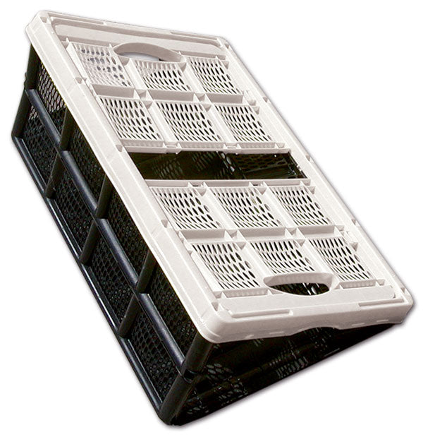 Cesta pieghevole in plastica • 32 L