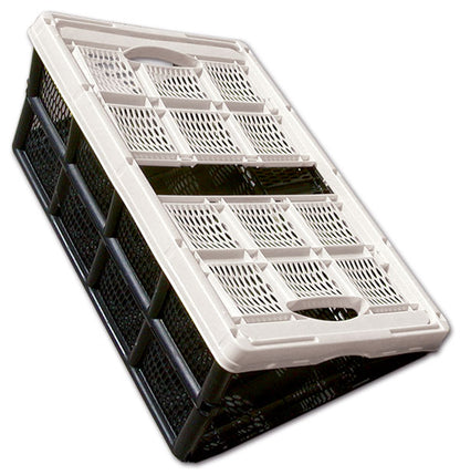 Cesta pieghevole in plastica • 32 L