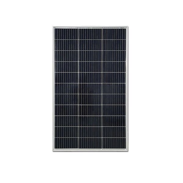 ExtraSUN monokristallines Solarmodul • 150 W