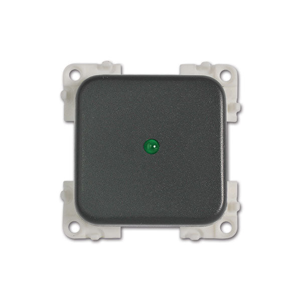 Interruttore con LED • 12 V • verde / grigio