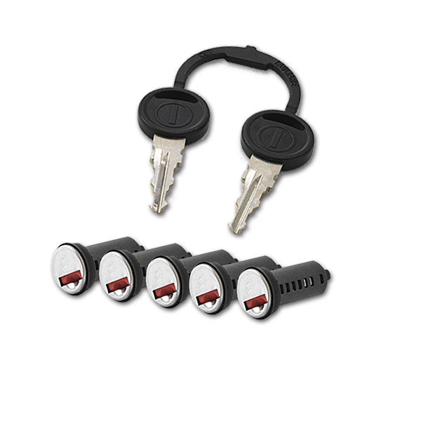 Kit 5 cilindri 2 chiavi standard Zadi