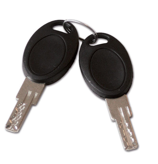 Coppia chiavi alta sicurezza • nr. FP0