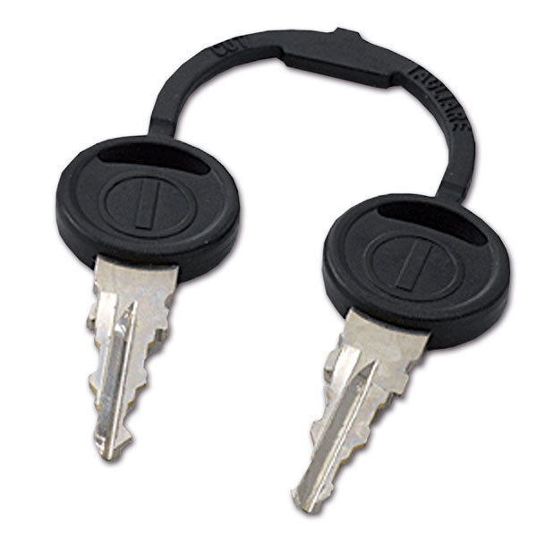 Coppia chiavi per serrature Zadi