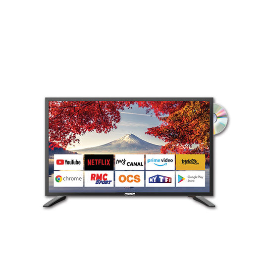 Smart TV LED Android 19" con DVD