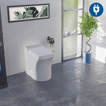 Toilette Cinderella Comfort • 230 V